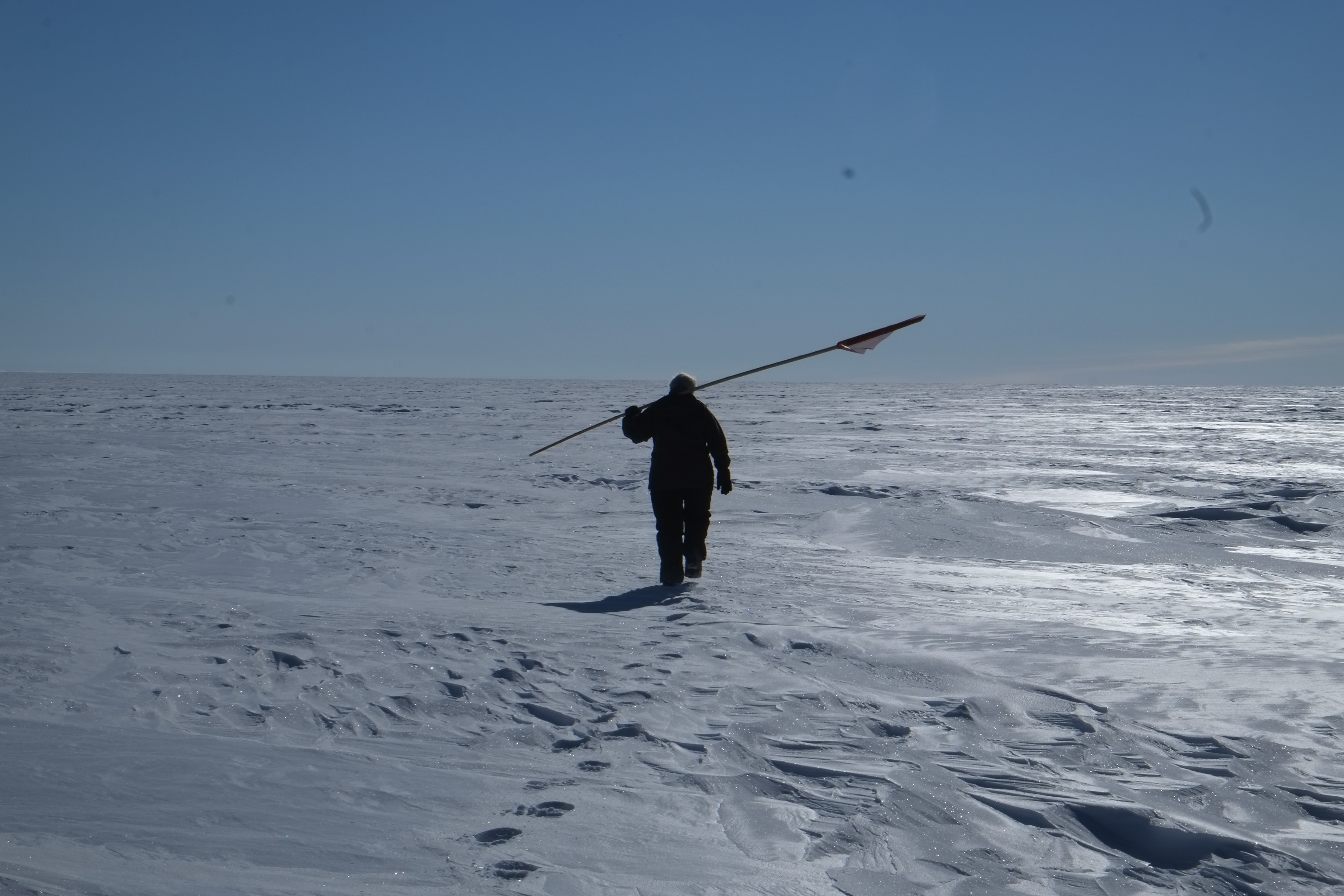Dorthe walks with a flag to set it where the new EGRIP camp will be established.